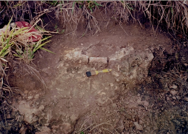 Escavação em 2002 encontrou fóssil da bacia do dinossauro