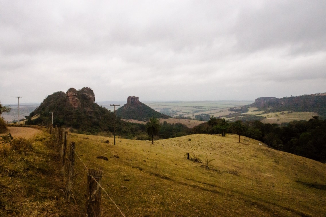 TIPOS DE VEGETAÇÃO NO BRASIL – GEO MODERNA